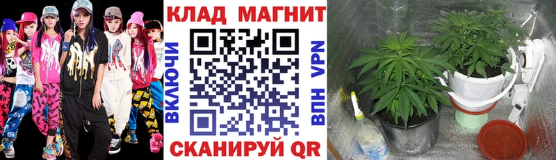 Купить Alpha PVP COCAIN ГАШИШ Меф Конопля Отрадное