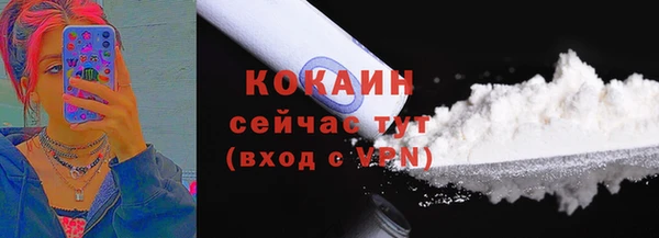 метадон Гусев