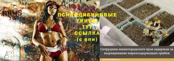 метадон Гусев